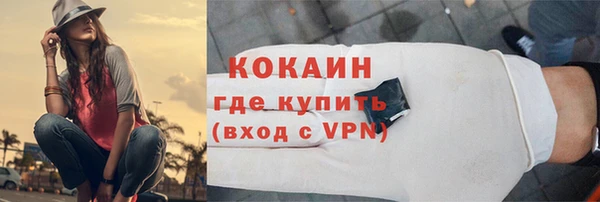 тгк Новодвинск