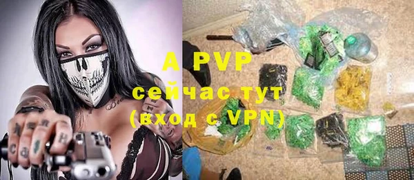 каннабис Богданович
